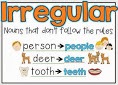 Grammar Review (AM):Irregular Plural Nouns