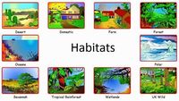Basic Needs and Habitats Review
