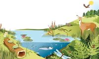 Ecosystems
