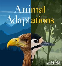 Animal Adaptations & Environmental Changes